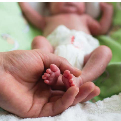 SoCal Sixth Annual Small Baby Consortium Banner